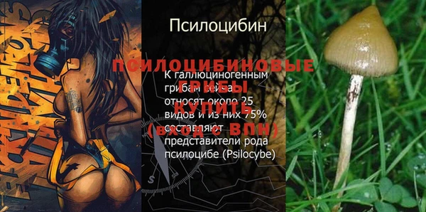 кокаин Дмитровск