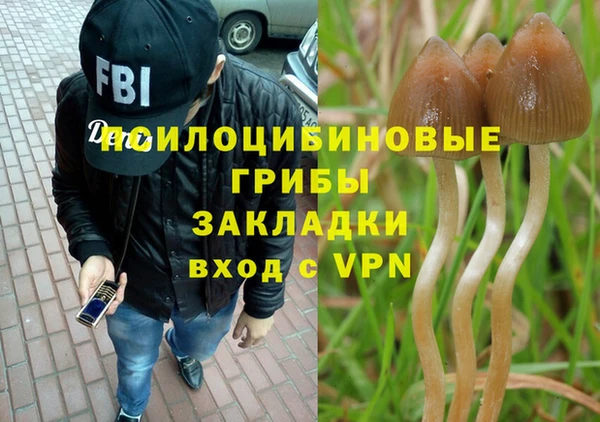 амф Гусиноозёрск