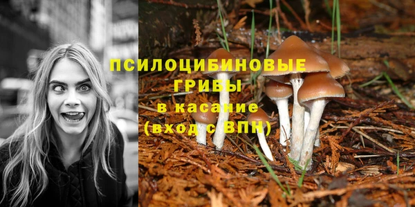 кокаин Дмитровск