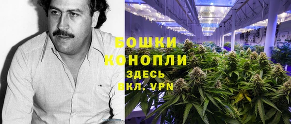 трава Корсаков
