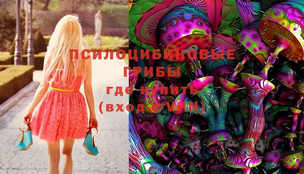 прущая мука Дмитров