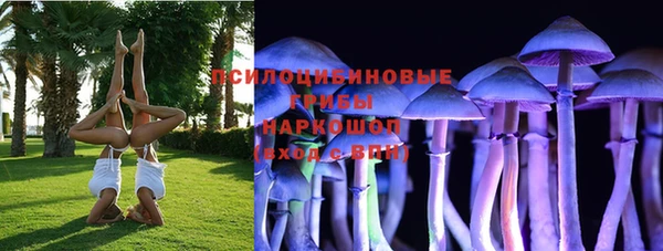 ALPHA-PVP Дмитриев